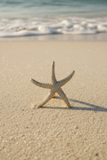 14K SEA STARFISH PENDANT